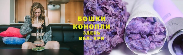 ГАЛЛЮЦИНОГЕННЫЕ ГРИБЫ Баксан