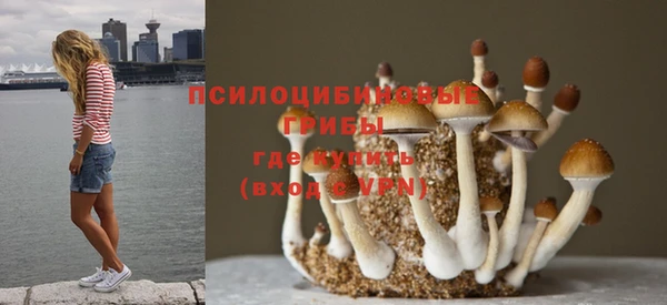 марихуана Беломорск