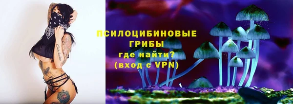 соль ск Белокуриха