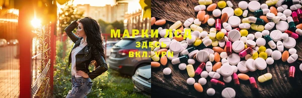 ГАЛЛЮЦИНОГЕННЫЕ ГРИБЫ Баксан