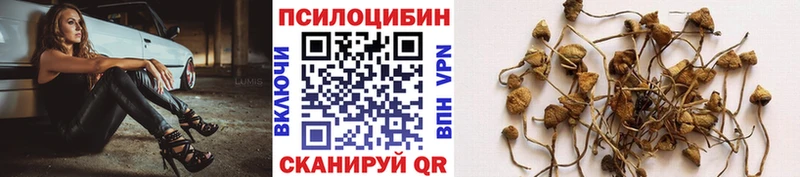 Псилоцибиновые грибы Magic Shrooms  KRAKEN как войти  Свободный  наркотики 