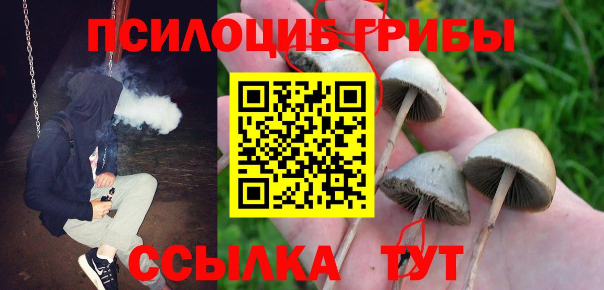 Свободный  Галлюциногенные грибы Cubensis  Галлюциногенные грибы GOLDEN TEACHER  Вход с VPN 