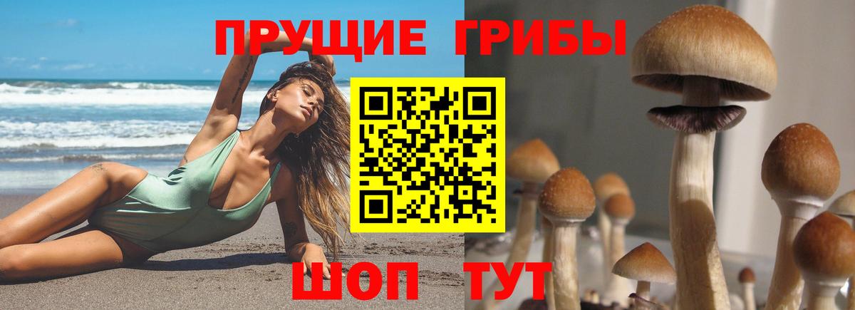 Псилоцибиновые грибы MAGIC MUSHROOMS Свободный